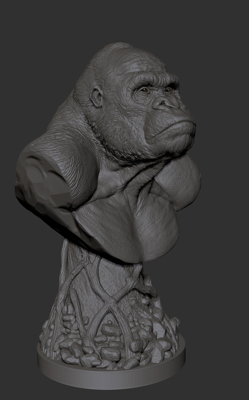 ape 001.jpg