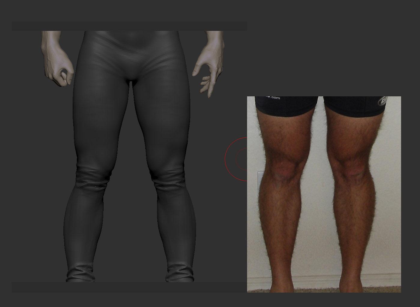 knees1.jpg