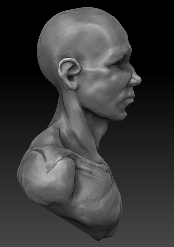 headstudySide1.jpg