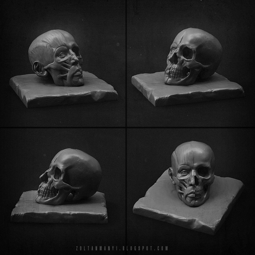 arcanatomy_FINAL_1ks.jpg