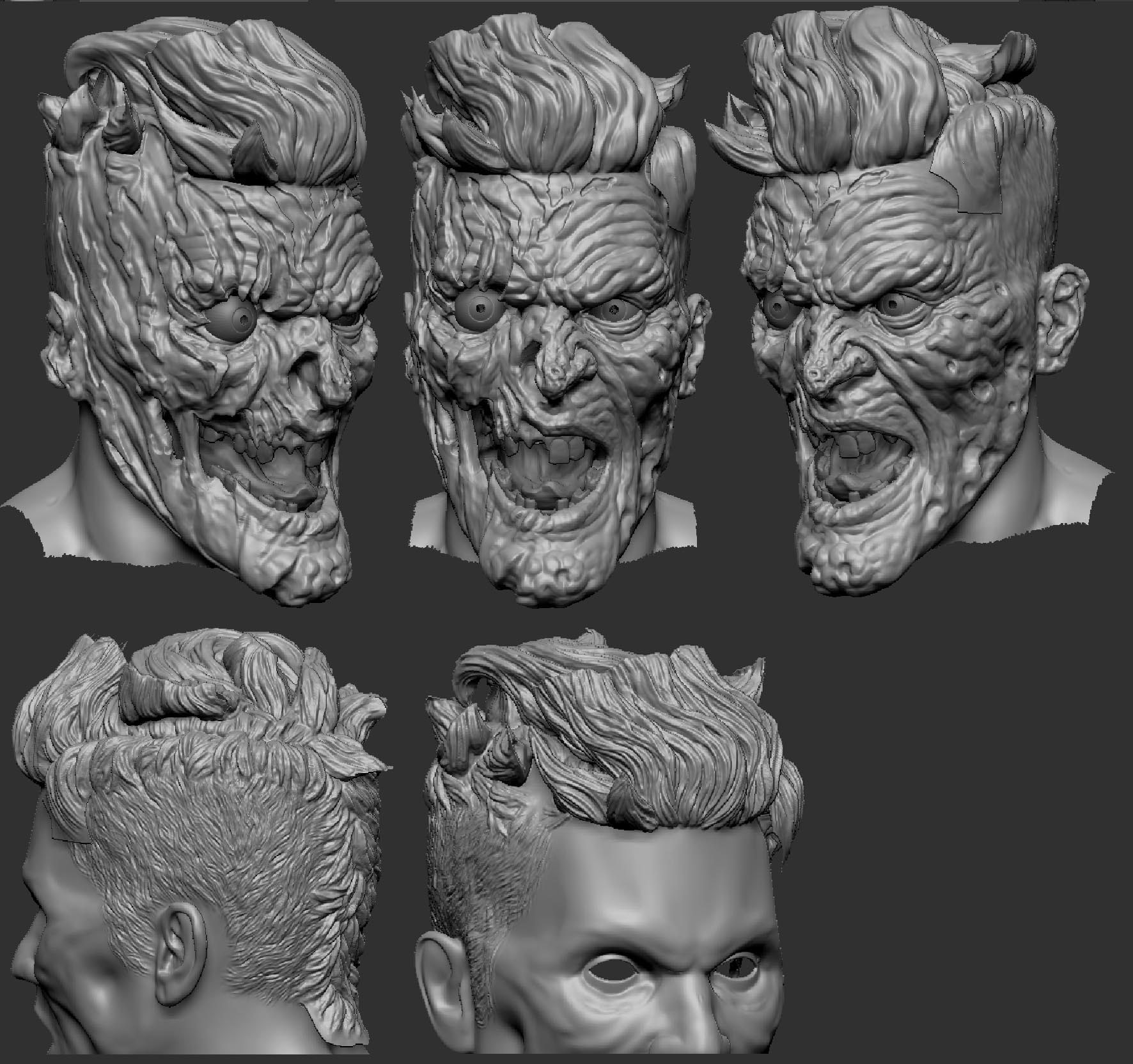 z_head_new.jpg
