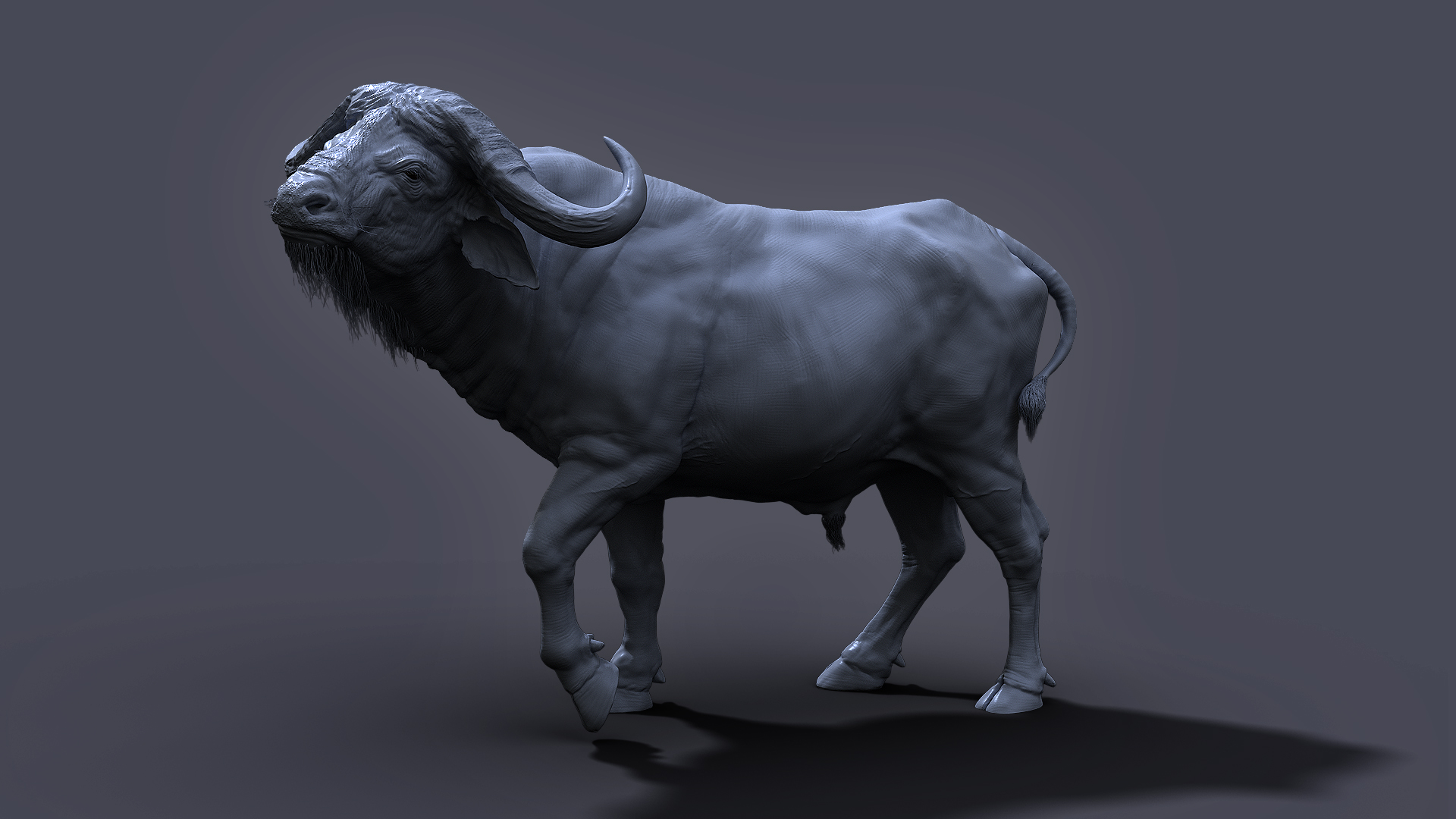 buffalo01.jpg
