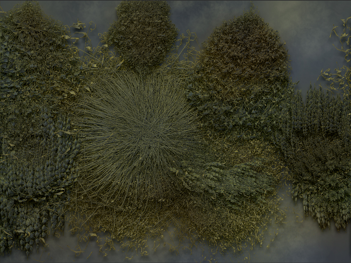 WATER PLANTS 6.jpg