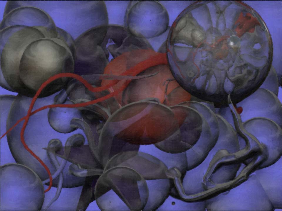 transparency_test_1web.jpg