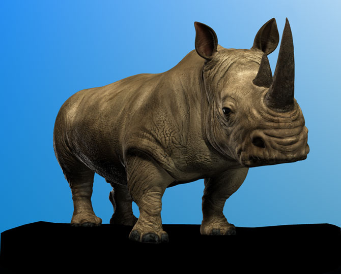 SSSRhino.jpg
