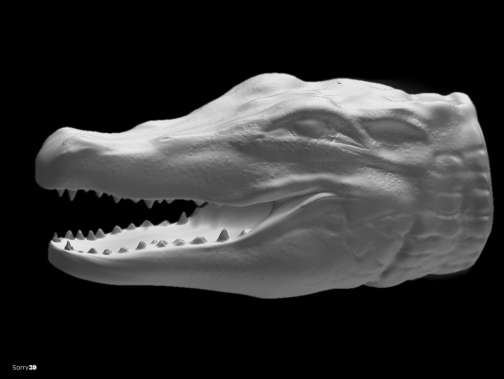 aligator_head_wip.jpg