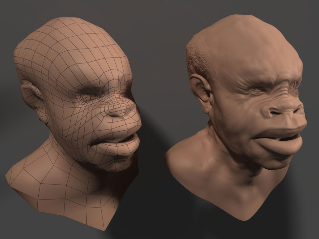 compare.jpg
