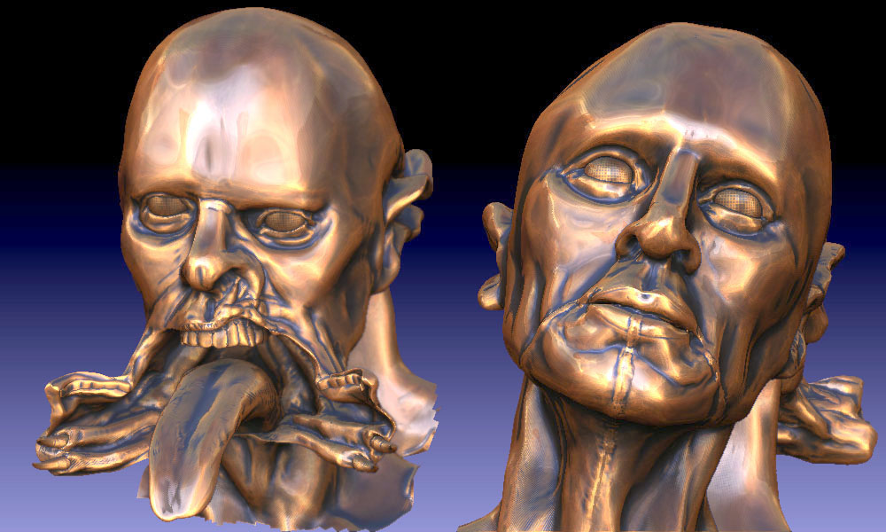 bronzeheads2.jpg