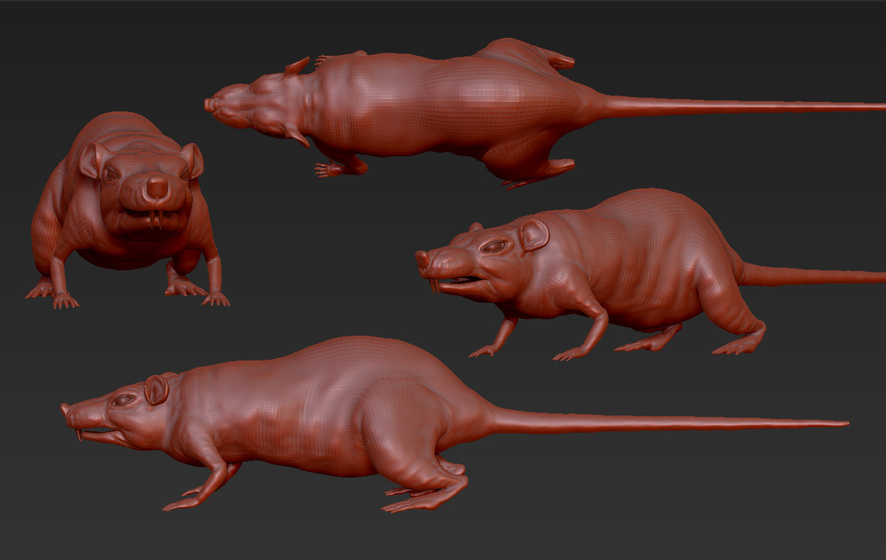 rat.jpg