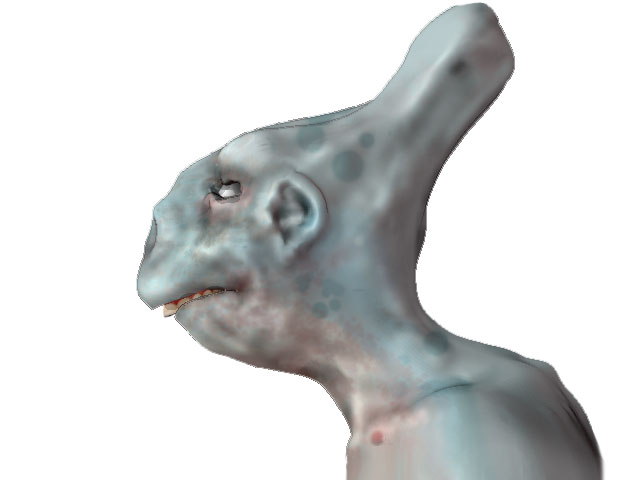 novi2.jpg
