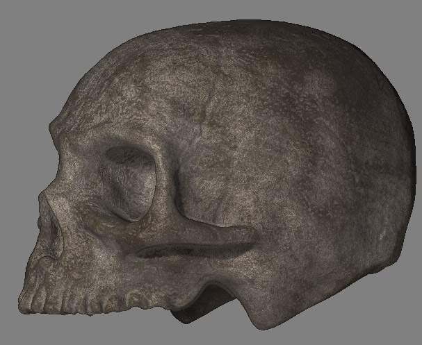skull_wip7.jpg