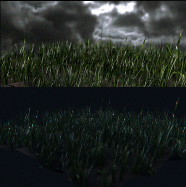 grass test.jpg