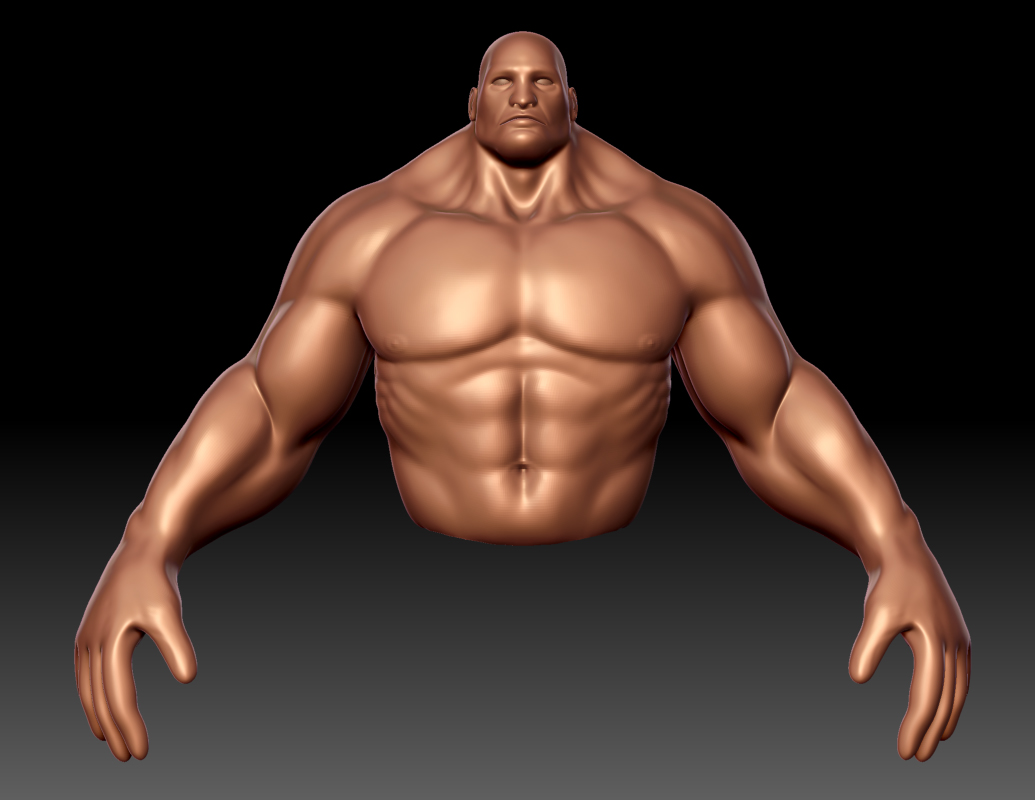 WIPbody.jpg