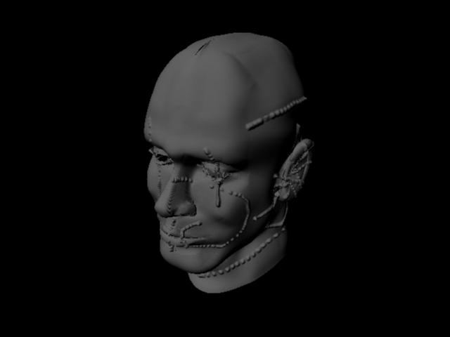 maya2010.jpg