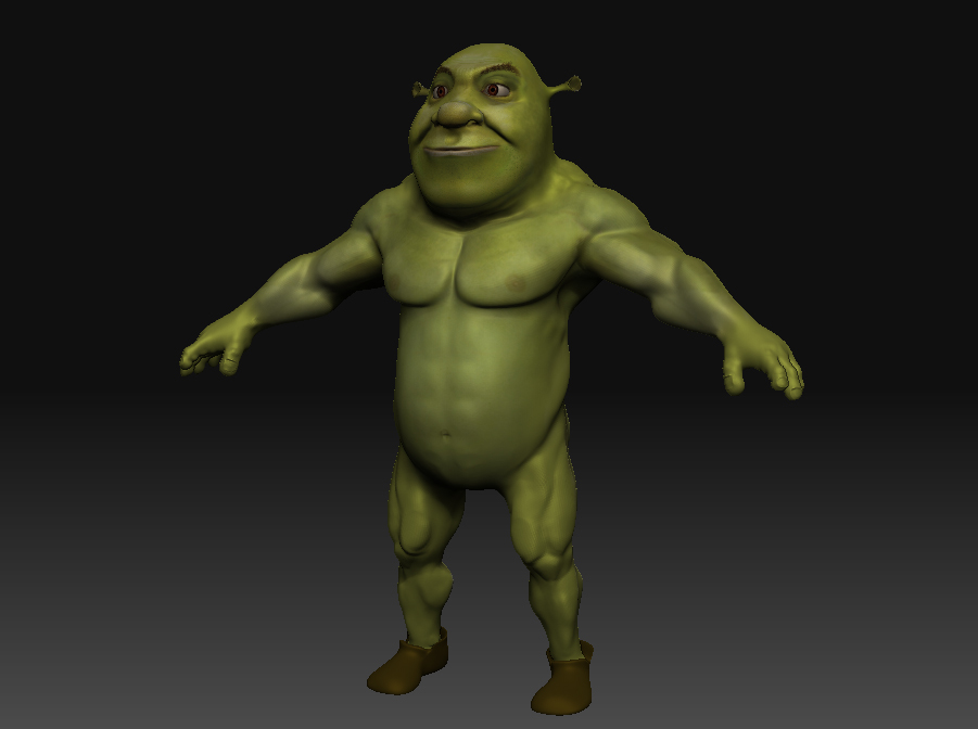 Shrek (anatomy study) .