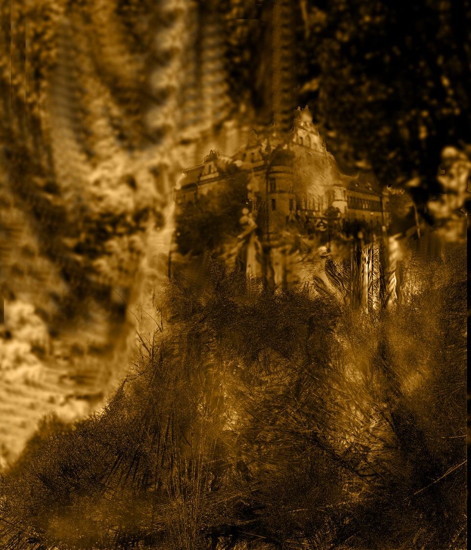 jungle.jpg