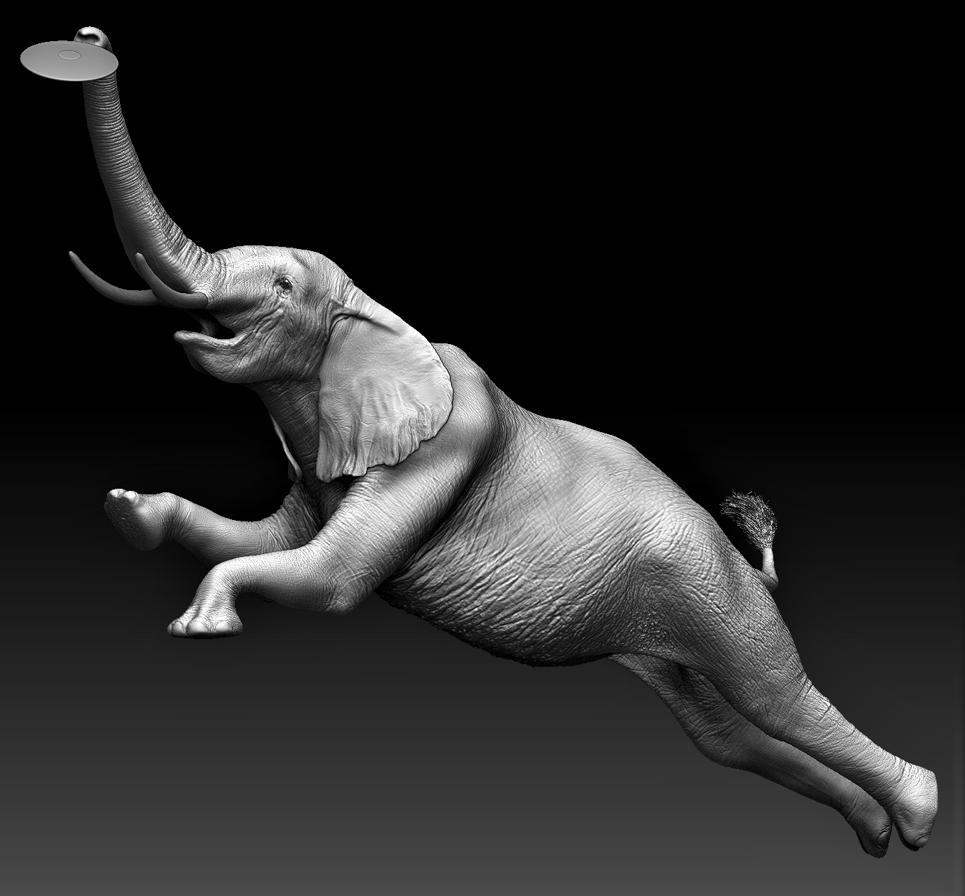 elephant test.jpg
