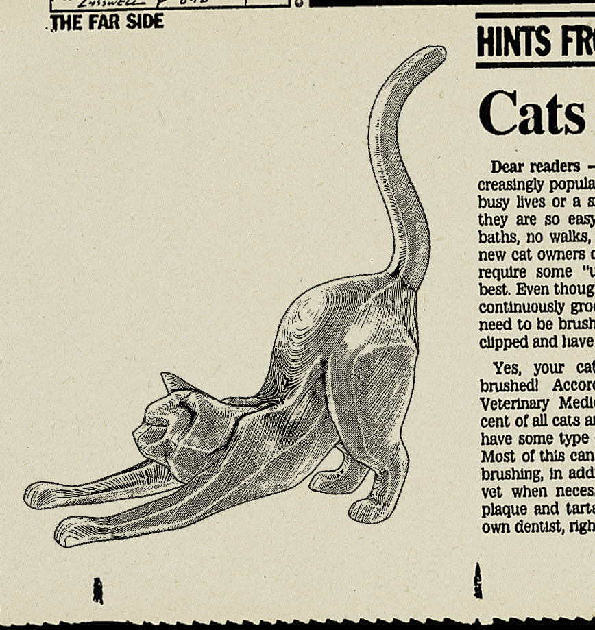 cats_npr_compo_byDirkWachsmuth