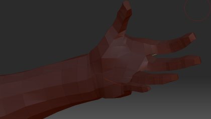 Palm_up.jpg