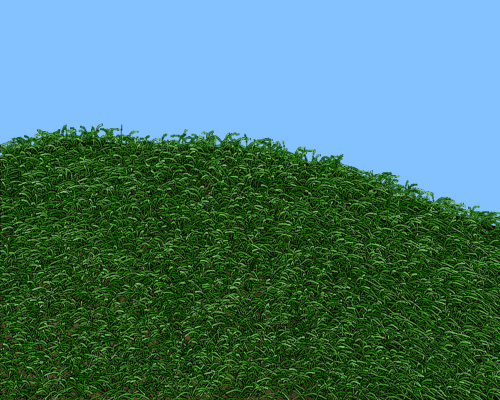 grass001.jpg