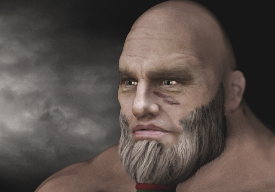 Viking_hd_zb_84_low.jpg
