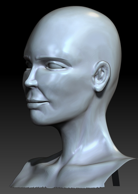 FEMALE ANATOMY retry19.jpg