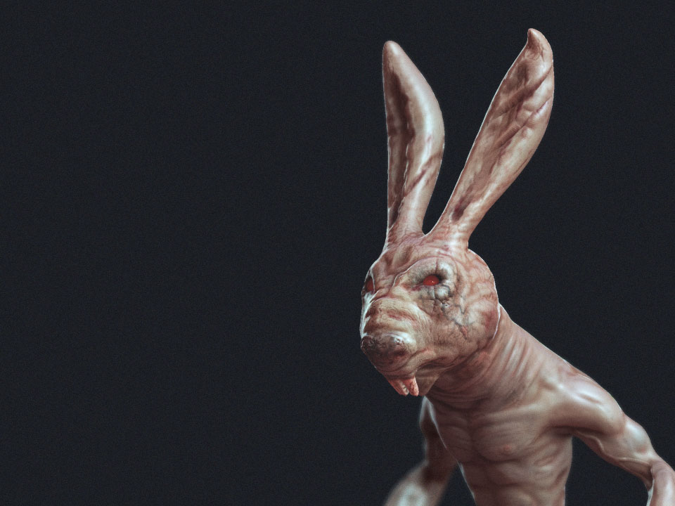 rabbit_25_web.jpg