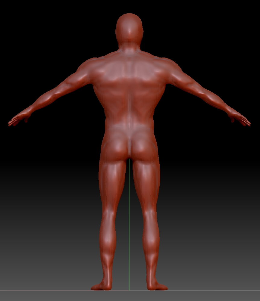 human_male_ideal_v2_back.jpg