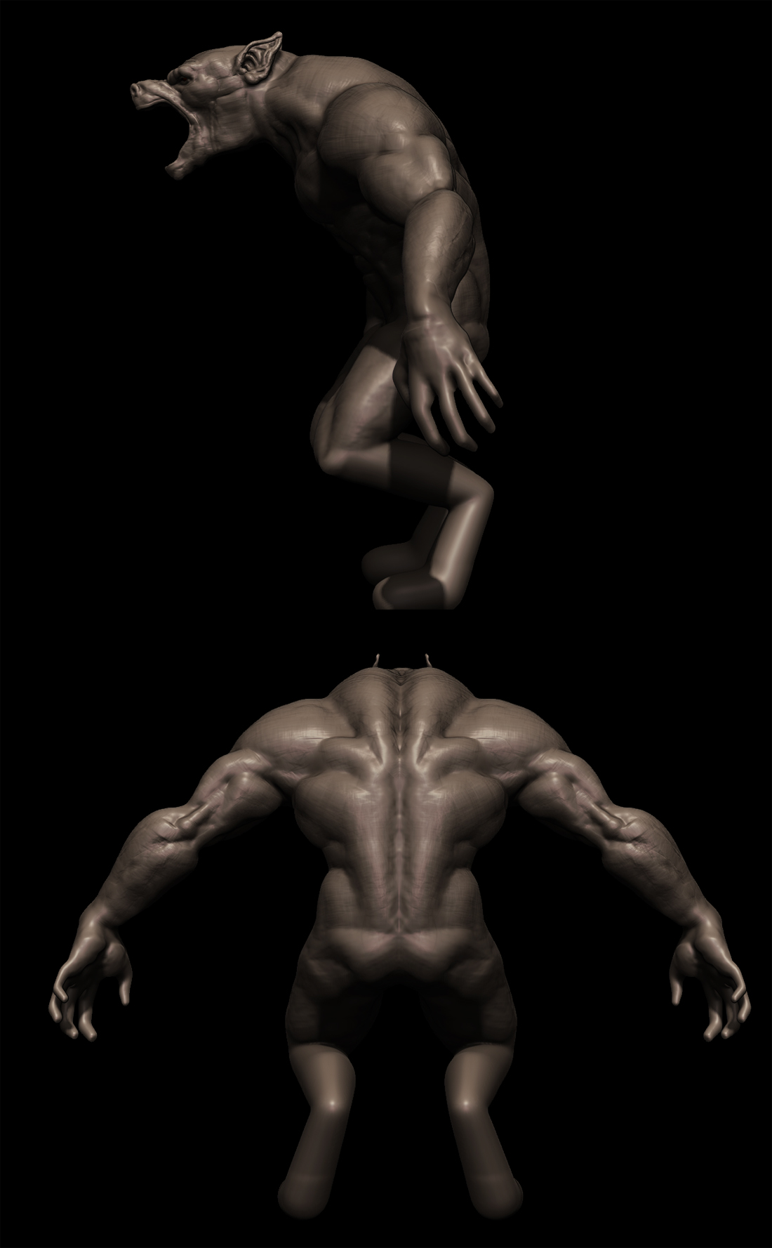 w2.jpg