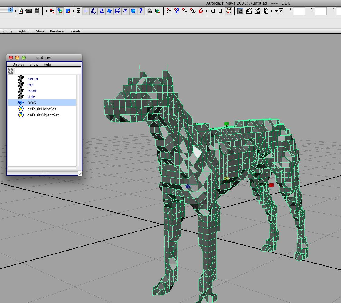 dog.jpg