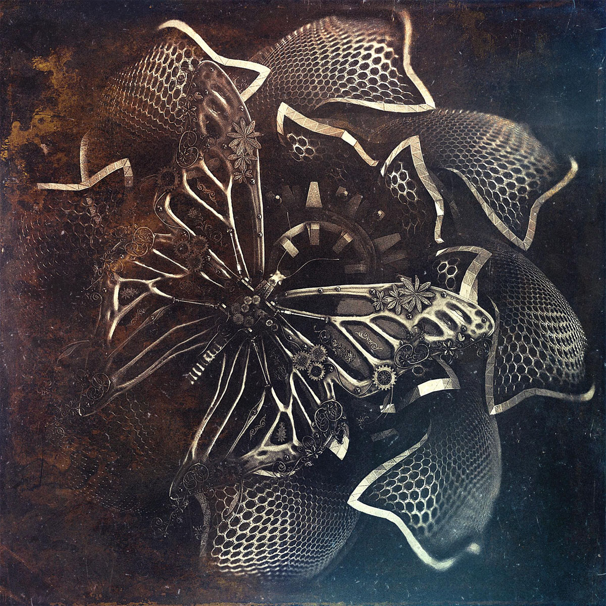 Butterfly_cover.jpg