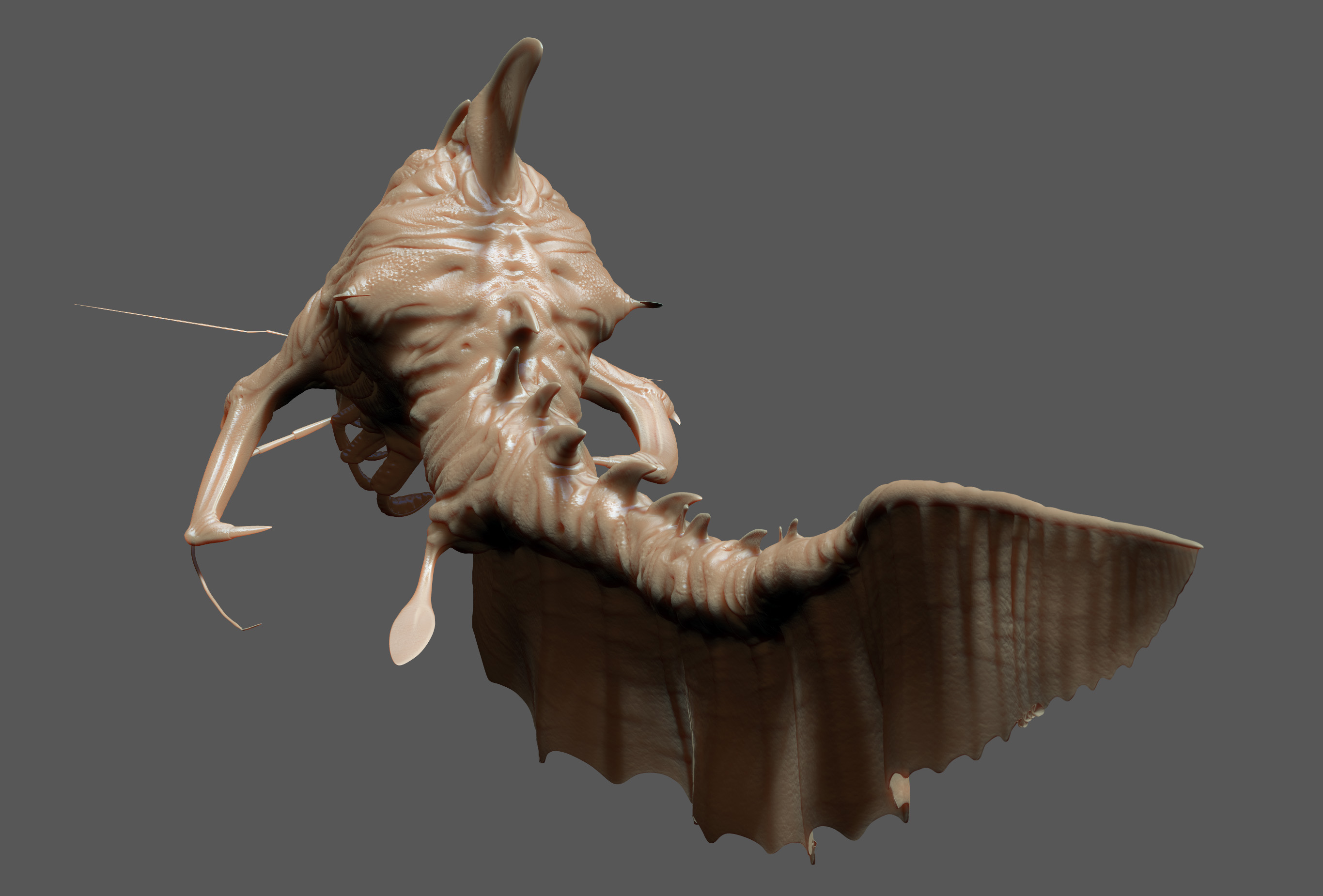 back_0.jpg