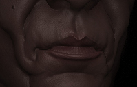 t.jpg