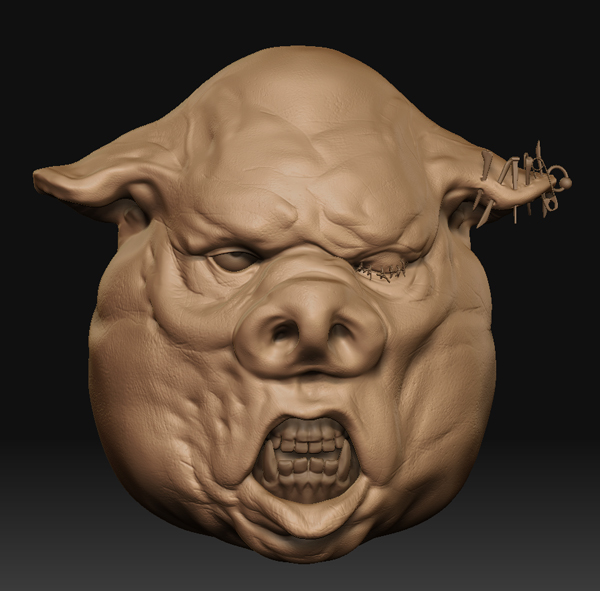 pigHead2.jpg