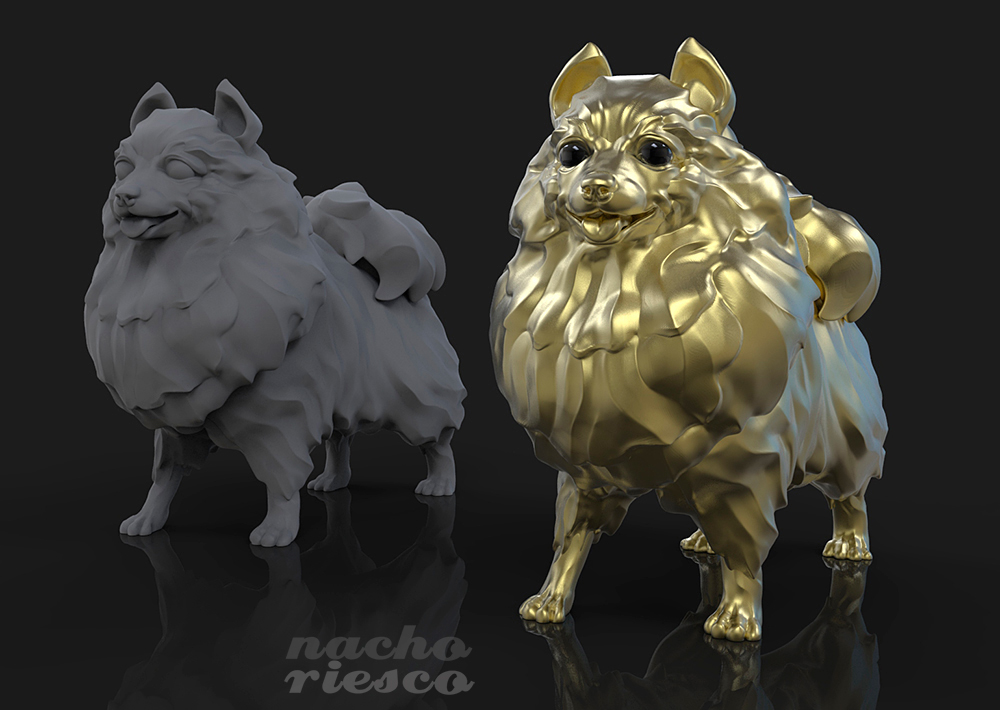 Pomeranian.jpg