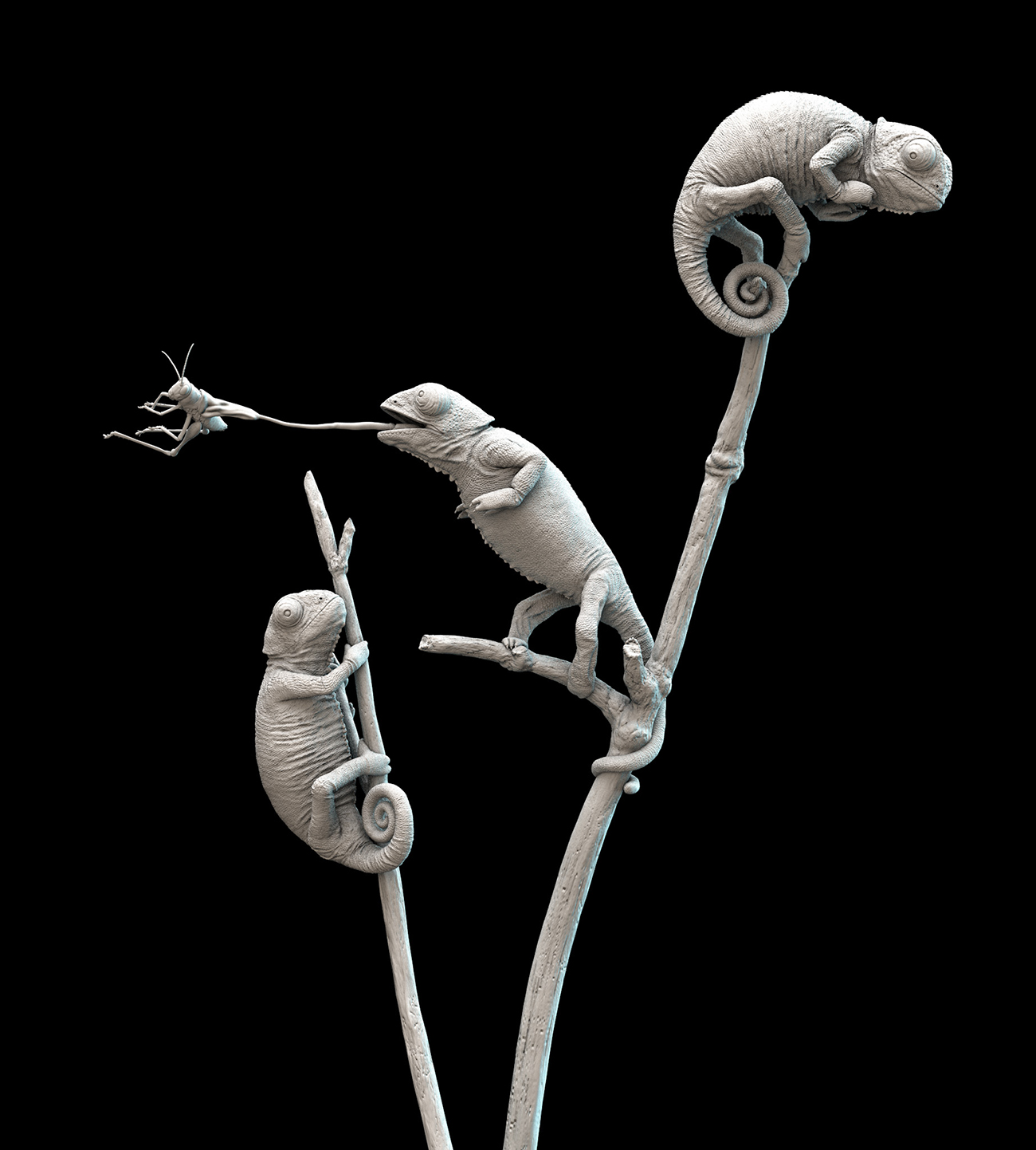 chameleon AO_ZC.jpg