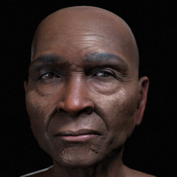 wip21.jpg