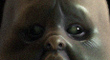 ghost_boy_T_ZB.jpg