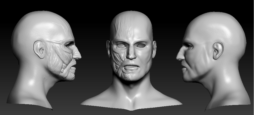 3view.jpg