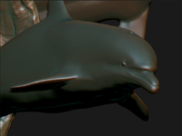 smallDolphin.jpg