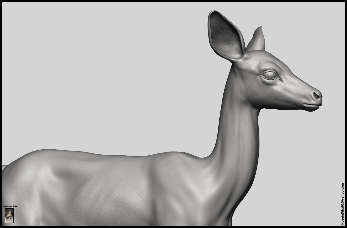Fawn_Deer_9.jpg