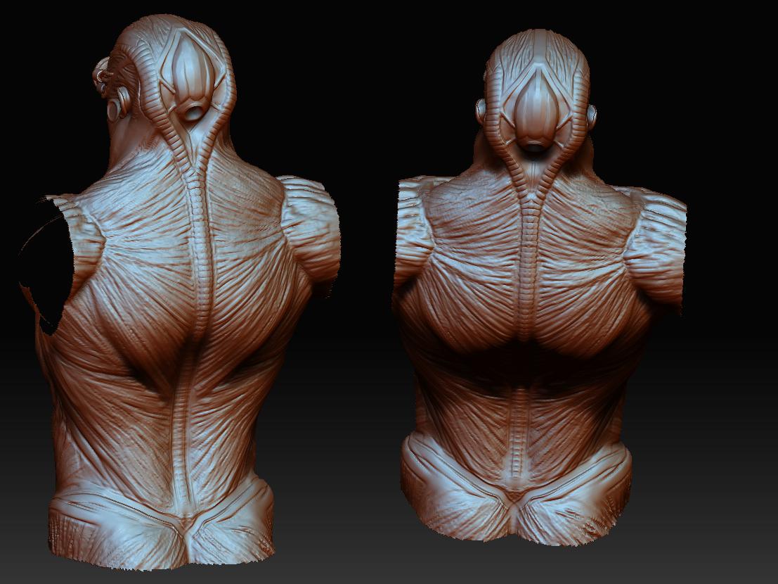 back.JPG