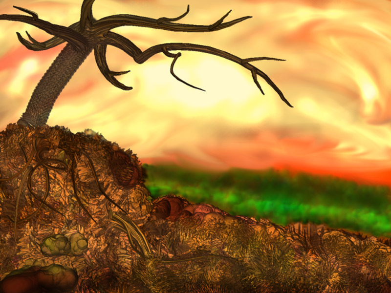 scenery-1.jpg