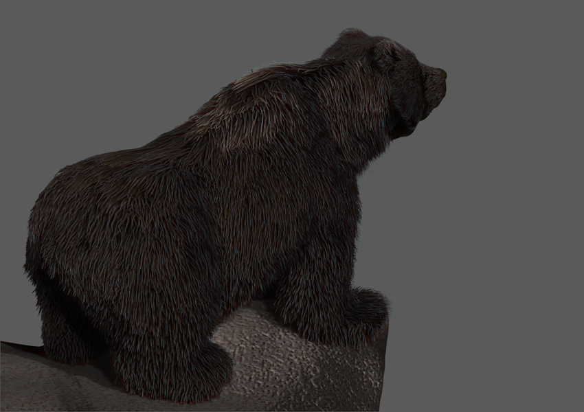 GRIZZLY FUR CLIFF 7.jpg
