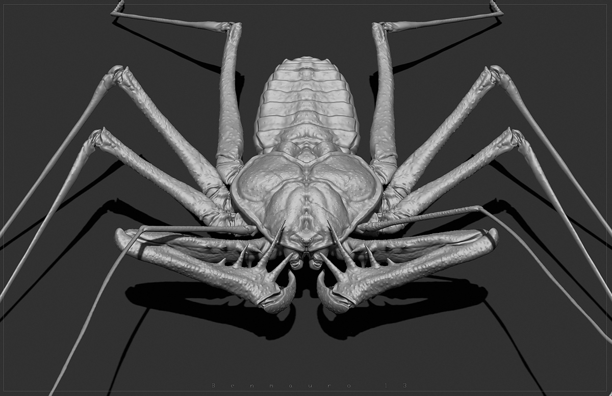 WHIP_spider_06_BM.jpg