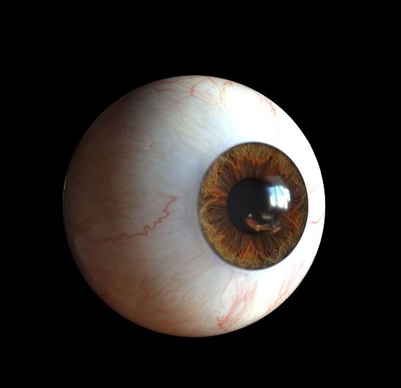 03_finaleye2.jpg
