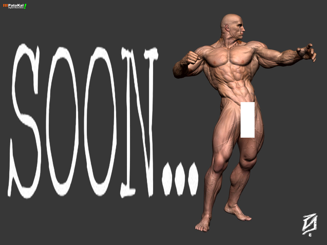 body.jpg