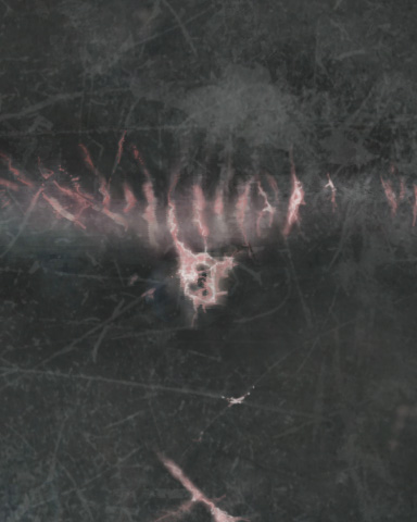 H DORSAL_detail.jpg