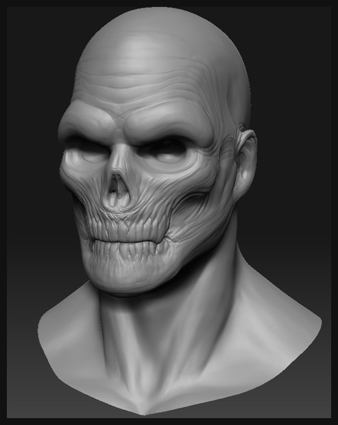 newHTopo_skullFace_WIP_01.jpg