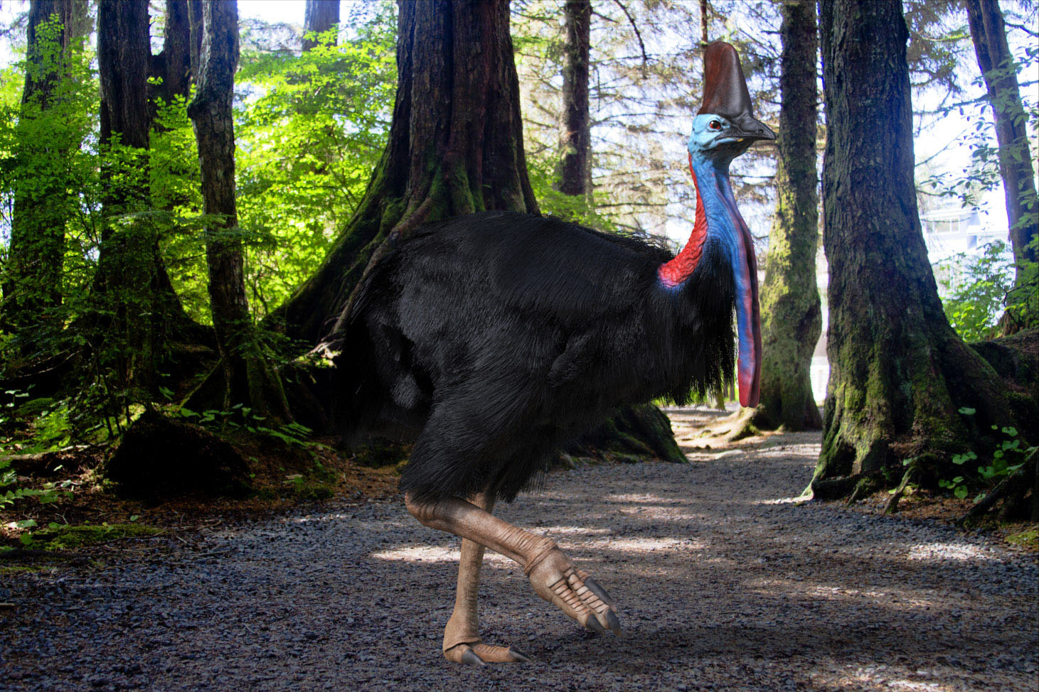 04022013 cass render finallighterlegs.jpg